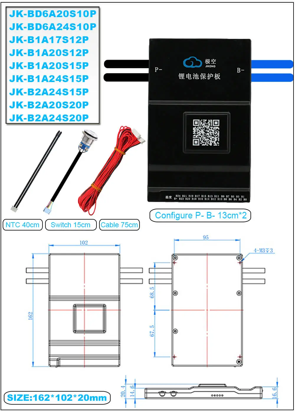 BMS 100A BD6A20S10P