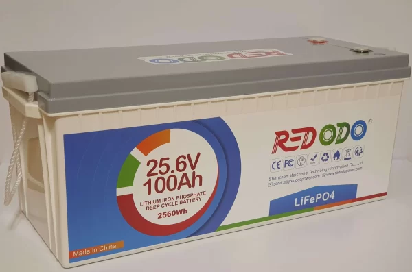 LiFePo4 аккумулятор Redodo 24V 100A 1